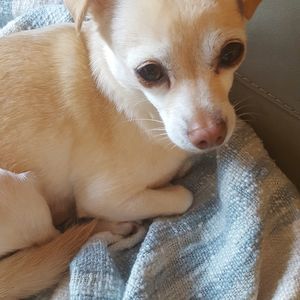 Meet your Posher, Leslie